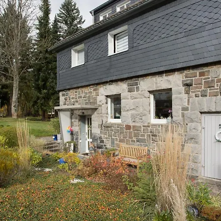Alte Vikarie Apartment Winterberg