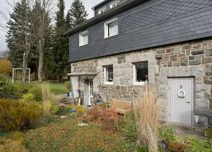 Alte Vikarie Appartement Winterberg